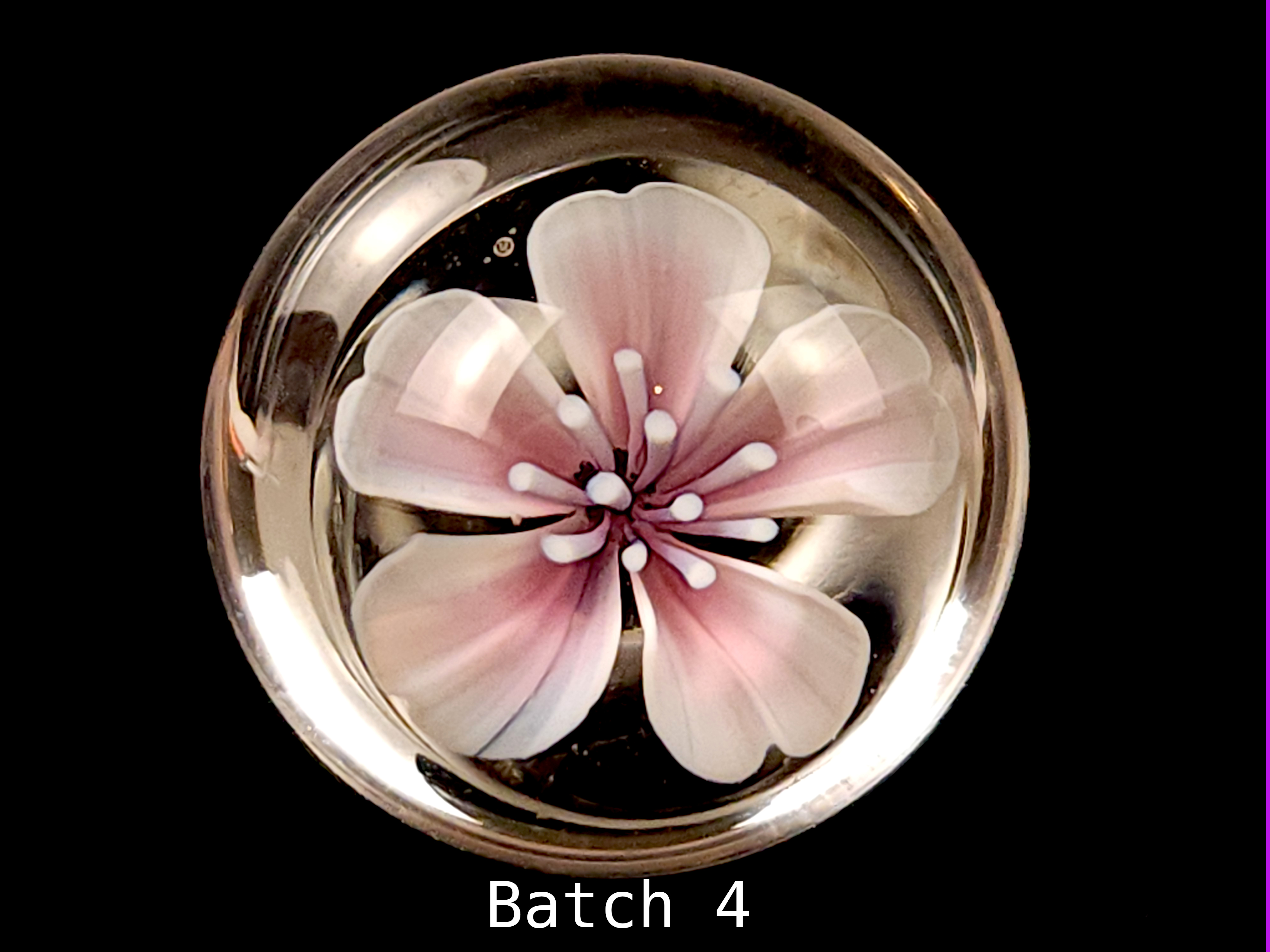 Cherry flower murrine, pink, BORO 33 COE