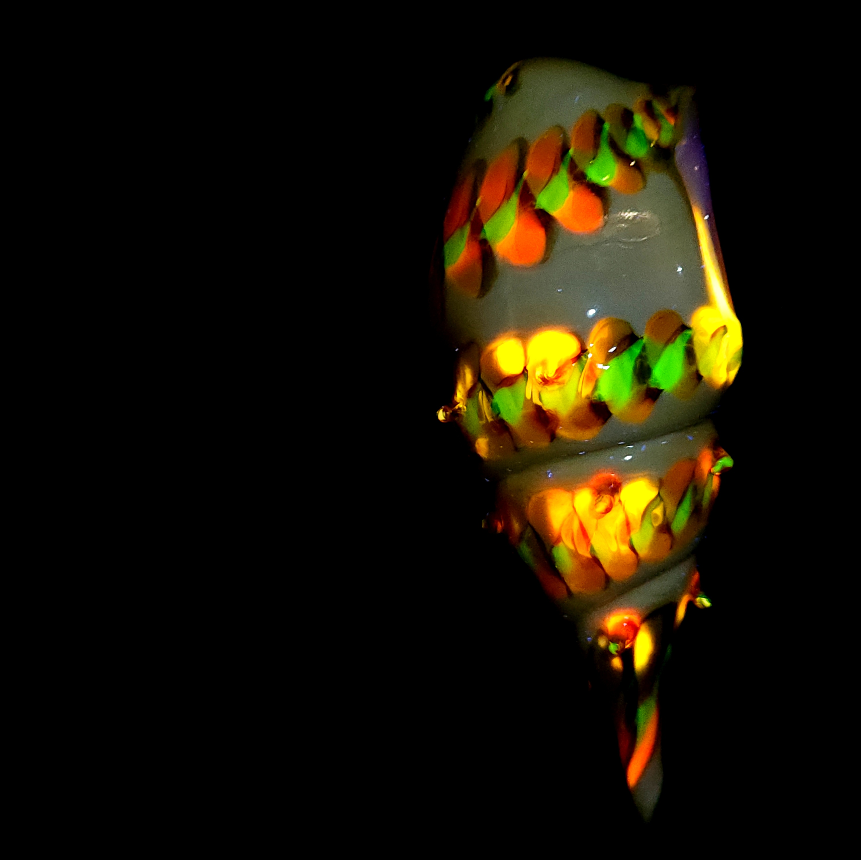 Seashell with uranium and cadmium UV luminescence
