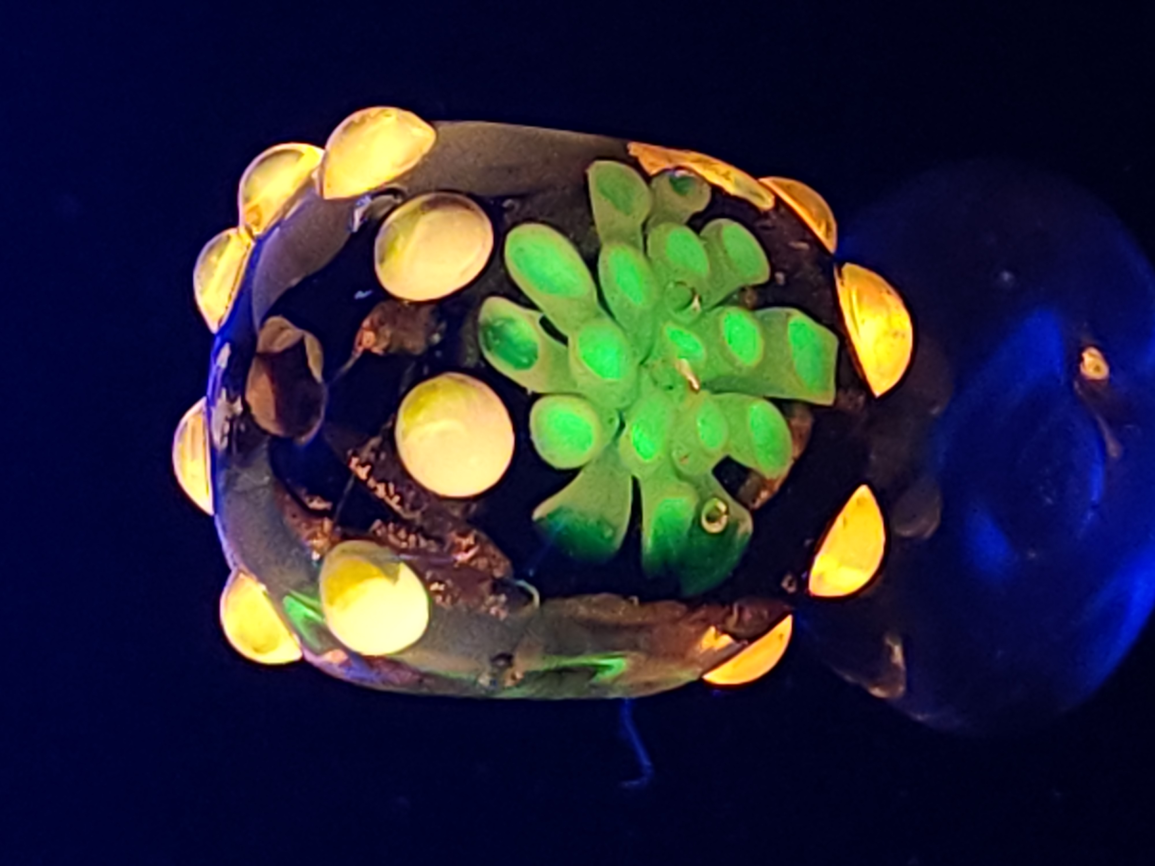 Short barrel flower murrine bead with Uranium and Cadmium UV fluorescence