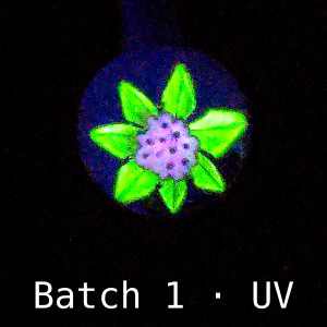 Test bloom of 2-tone UV Star cane under 395 nm UV light: petals glow bright green around a violet center with dark stamen dots