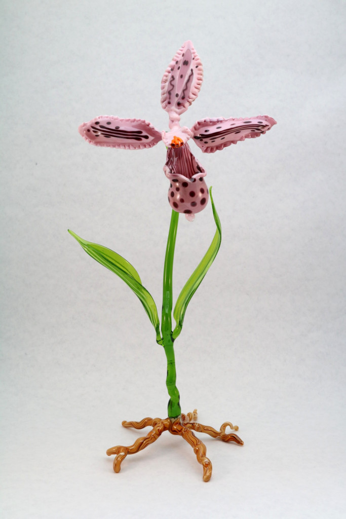 Alice's Slipper, a flameworked glass lady's slipper orchid with green leaves and amber roots, by Dennis Gerasimov