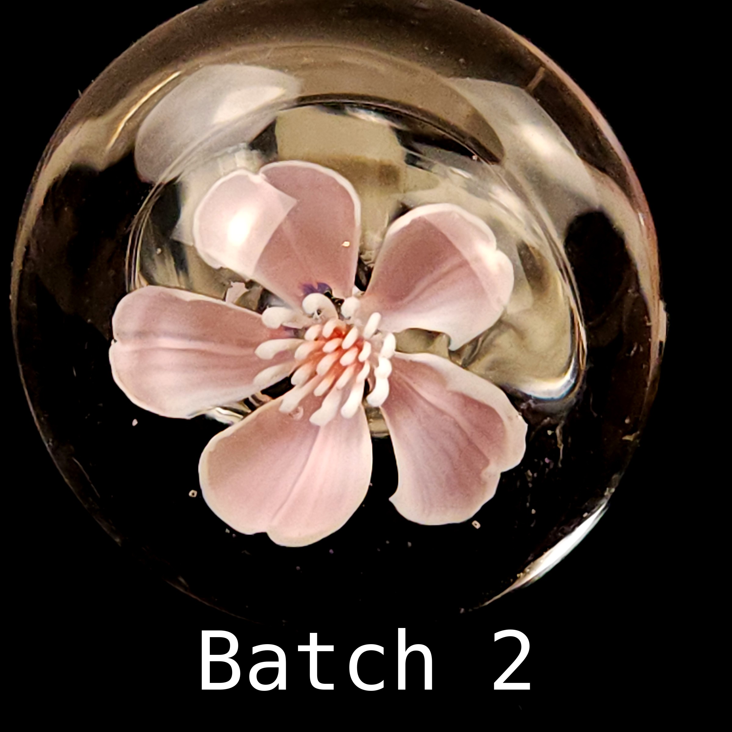 Cherry flower murrine, pink, BORO 33 COE