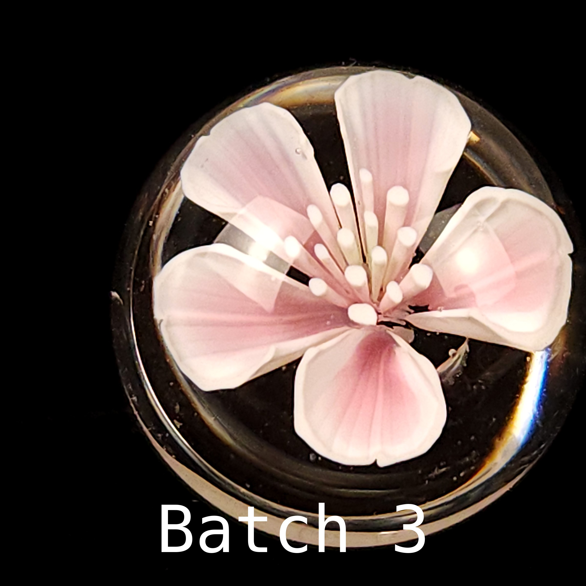 Cherry flower murrine, pink, BORO 33 COE