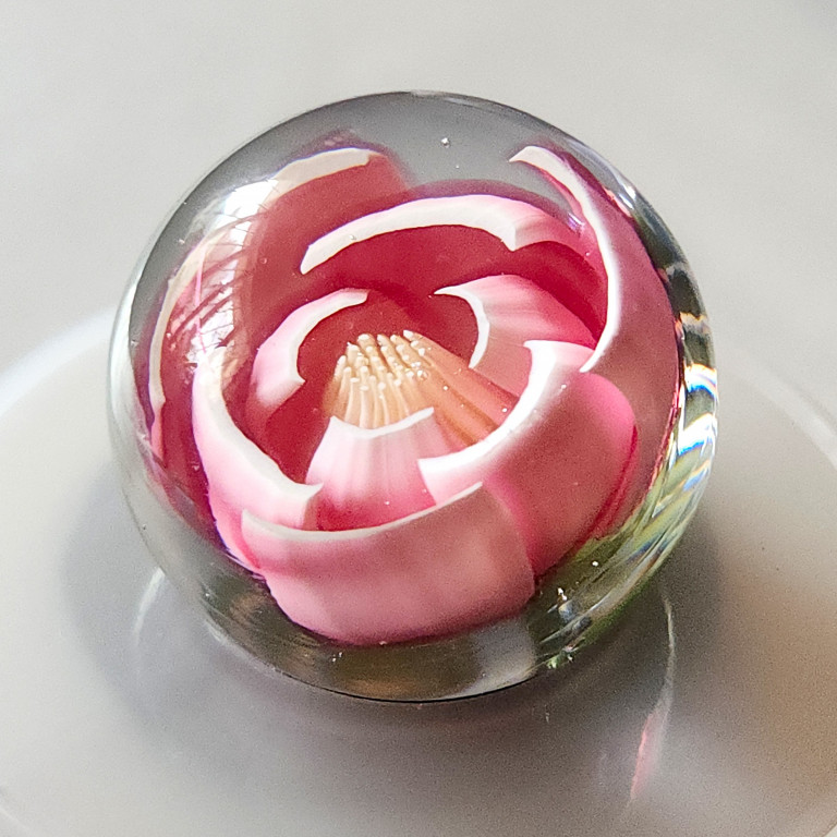Pink lotus made as a single large 3-D murrine in borosilicate glass, inside a clear marble