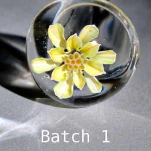 Test bloom of Yellow Star 3-D murrine cane batch 1: soft yellow petals with delicate orange stripes around golden stamens form an open star shape, in a clear borosilicate sphere